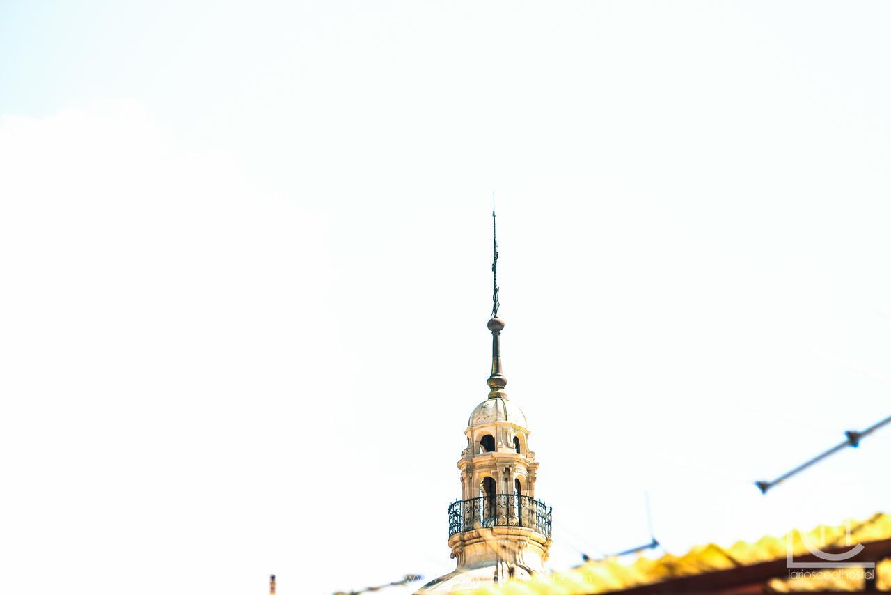 Larios Cool Hostel Malaga Bagian luar foto